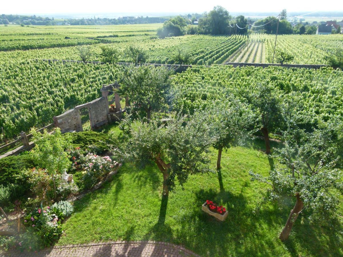 Appartement Domaine du Bouxhof à Mittelwihr Extérieur photo